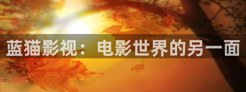 草民电影dy888午夜：蓝猫影视：电影世界的另一面