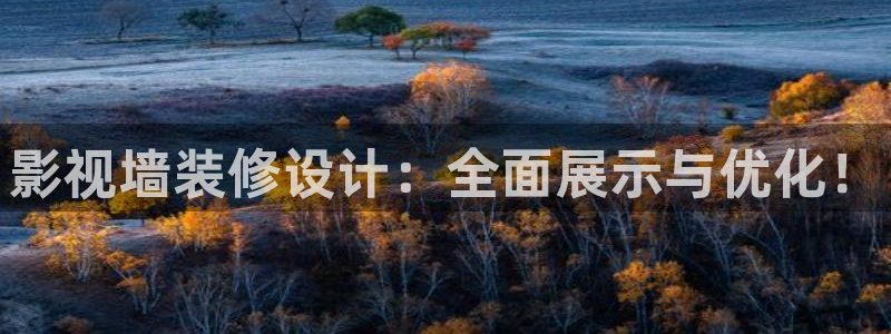 草民电影官网国产剧免费观看：影视墙装修设计：全面展示与优化！